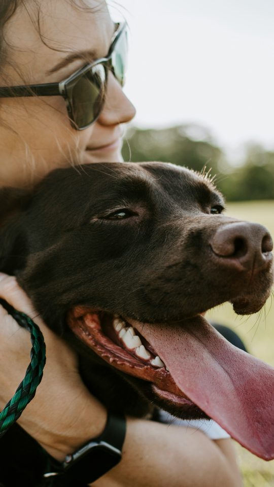 woman hugging a dog